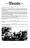 Beecher's Bibles