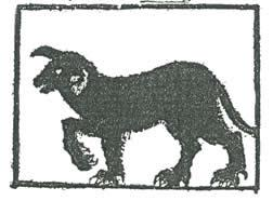 Black Shuck